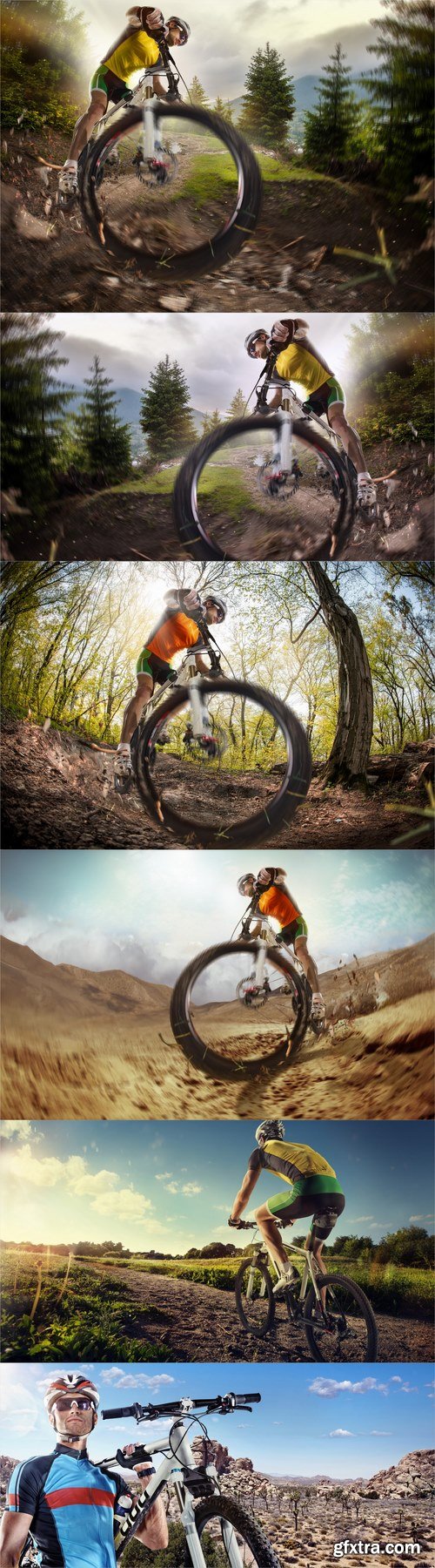 Mountain Bike cyclist riding single track