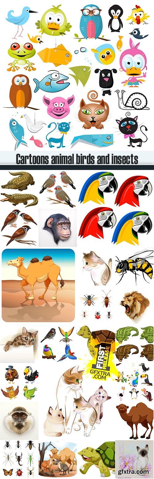 Cartoons animal birds and insects