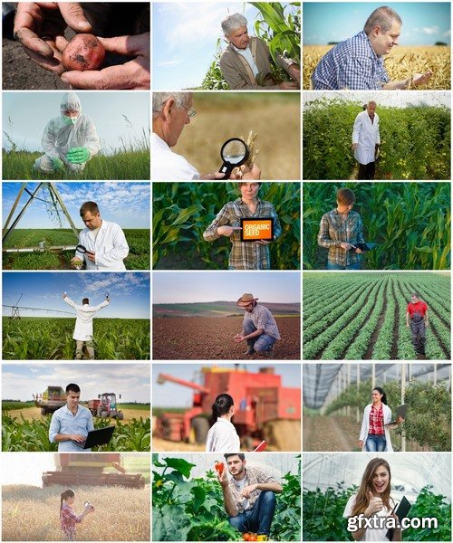 Collection agronomist farmer checking agricultural crop breeding 25 HQ Jpeg