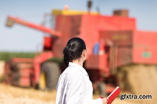 Collection agronomist farmer checking agricultural crop breeding 25 HQ Jpeg