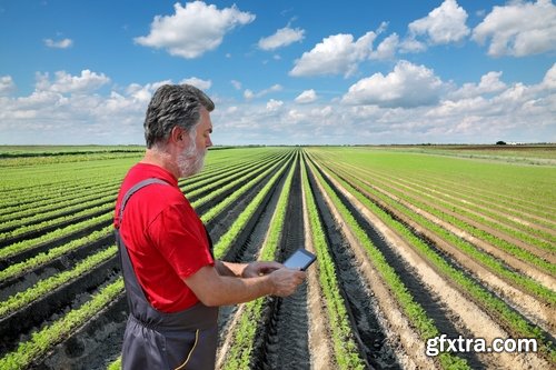 Collection agronomist farmer checking agricultural crop breeding 25 HQ Jpeg