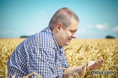 Collection agronomist farmer checking agricultural crop breeding 25 HQ Jpeg