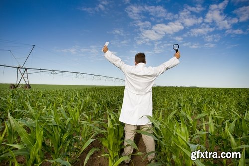 Collection agronomist farmer checking agricultural crop breeding 25 HQ Jpeg