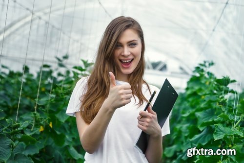 Collection agronomist farmer checking agricultural crop breeding 25 HQ Jpeg