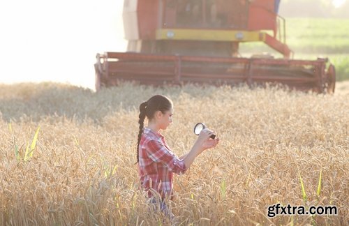 Collection agronomist farmer checking agricultural crop breeding 25 HQ Jpeg