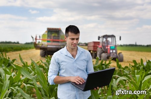 Collection agronomist farmer checking agricultural crop breeding 25 HQ Jpeg