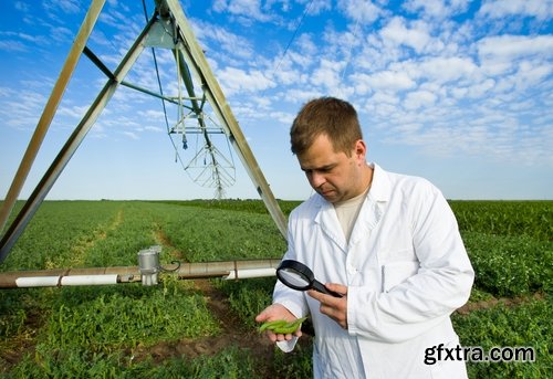 Collection agronomist farmer checking agricultural crop breeding 25 HQ Jpeg