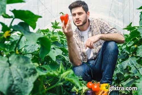 Collection agronomist farmer checking agricultural crop breeding 25 HQ Jpeg