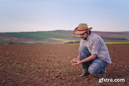 Collection agronomist farmer checking agricultural crop breeding 25 HQ Jpeg