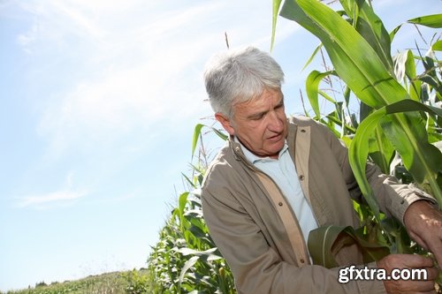 Collection agronomist farmer checking agricultural crop breeding 25 HQ Jpeg