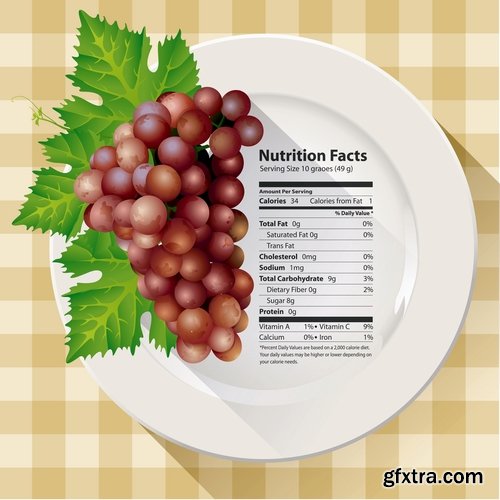 Collection juice drink food recipe dish menu vector image 25 EPS