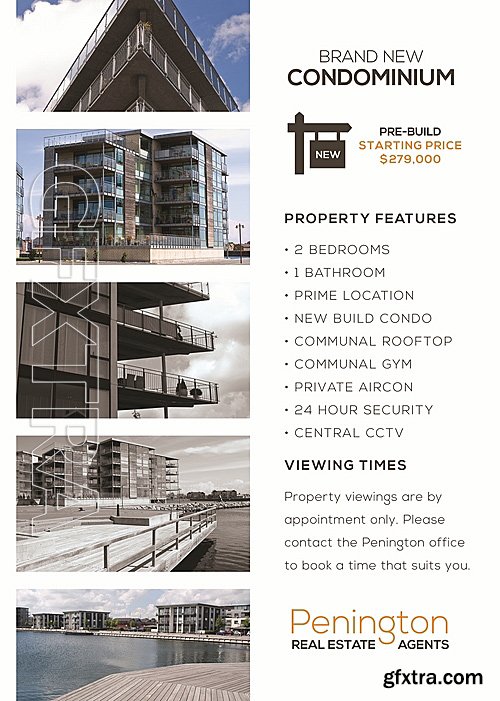 Penington Real Estate Flyer