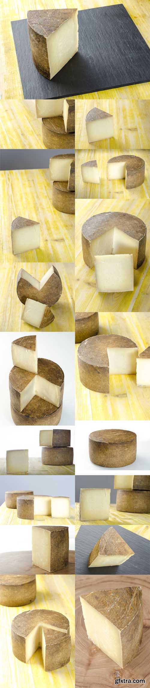 Photo Set - Whole Wheel of Sheep Milk Cheeseover white Background