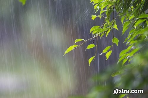 Collection rain shower wet umbrella nature 25 HQ Jpeg