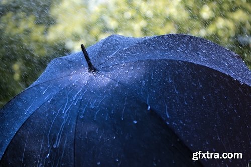 Collection rain shower wet umbrella nature 25 HQ Jpeg