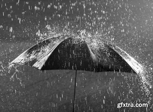 Collection rain shower wet umbrella nature 25 HQ Jpeg