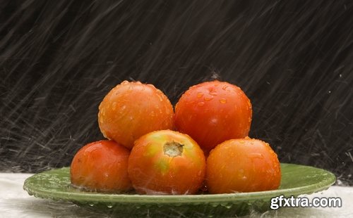 Collection rain shower wet umbrella nature 25 HQ Jpeg