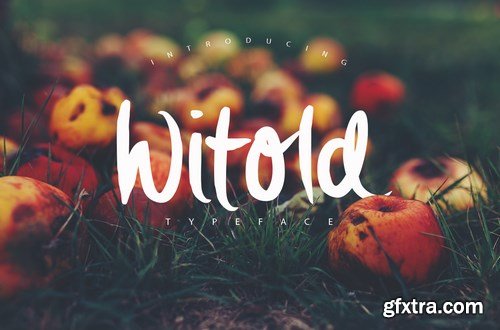 CM - Witold Script Typeface 50 Intro 741748