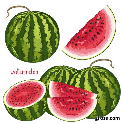 Watermelon 1-5xEPS