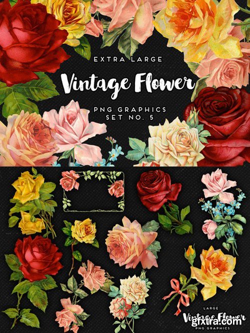 CM - Large Vintage Flower Graphics No. 5 637809