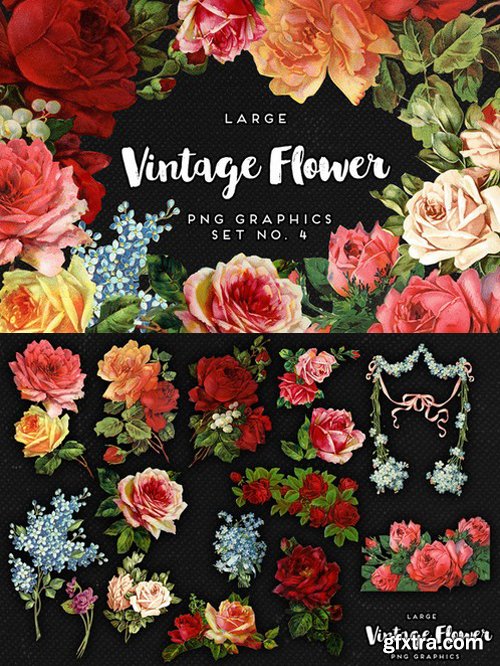 CM - Large Vintage Flower Graphics No. 4 637764