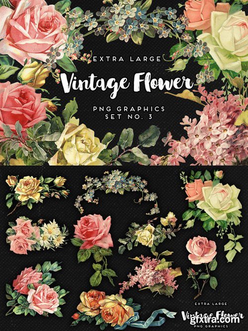 CM - Large Vintage Flower Graphics No. 3 637716