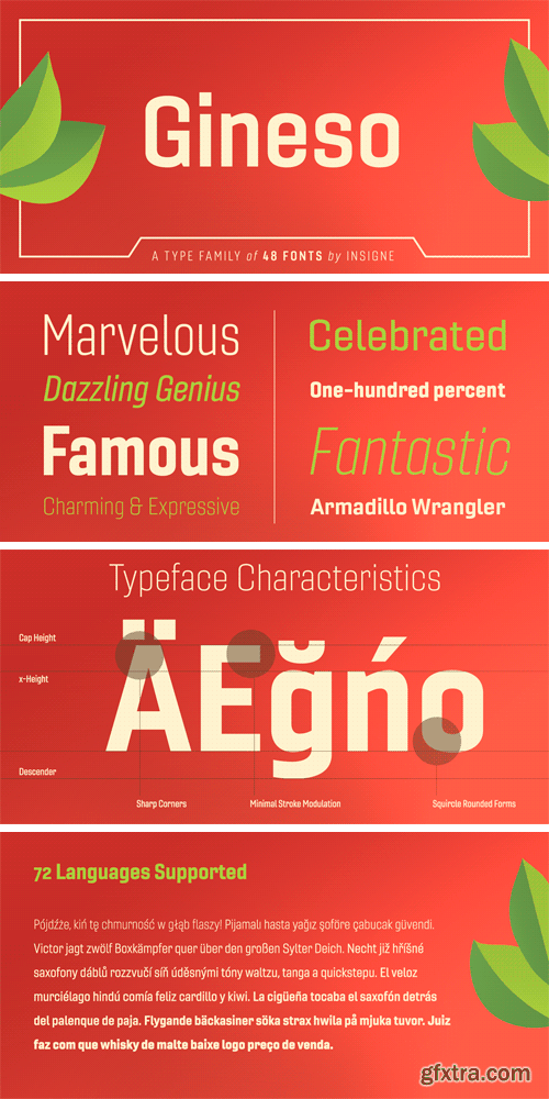 Gineso Font Family