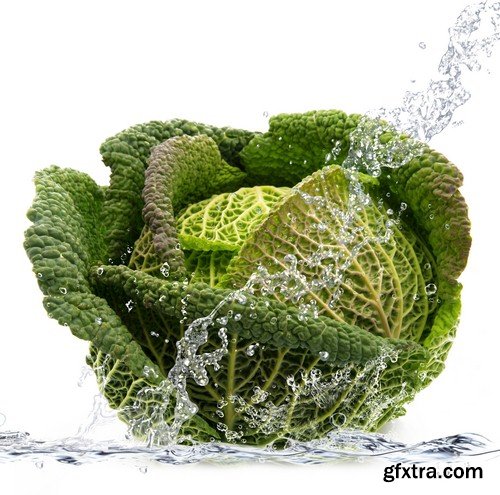 Vegetables in spray of water 1-5xUHQ JPEG