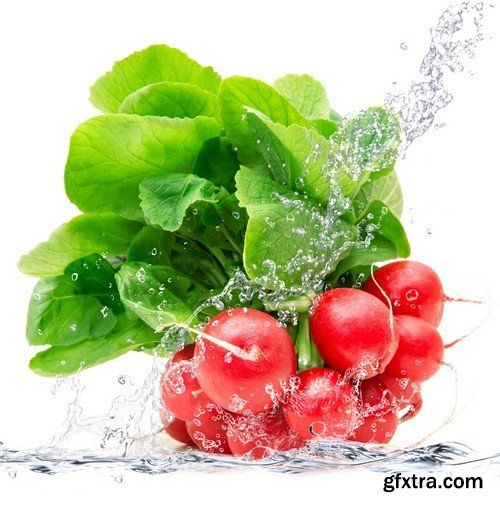 Vegetables in spray of water 1-5xUHQ JPEG