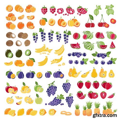 Fruit and Berries 4 - 20xEPS