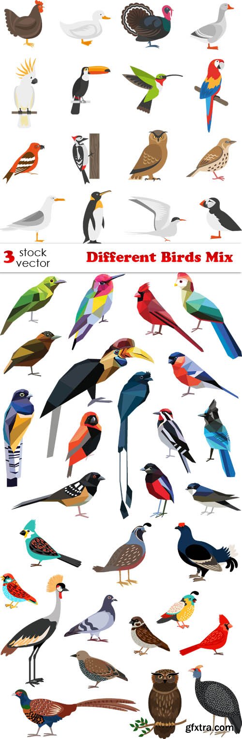 Vectors - Different Birds Mix