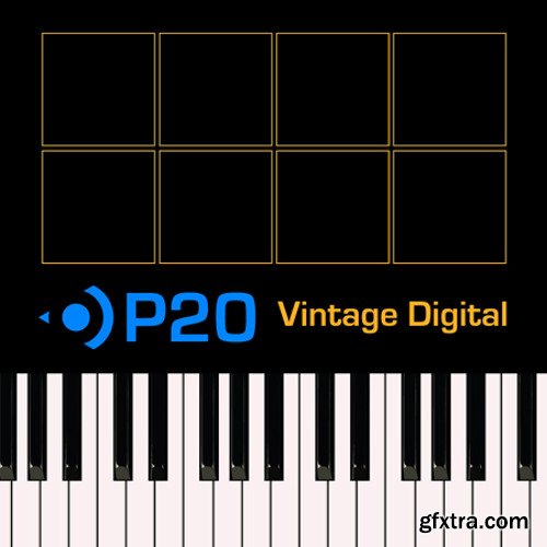 Precisionsound P20 Vintage Digital Roland MKS-20 MULTiFORMAT-FANTASTiC