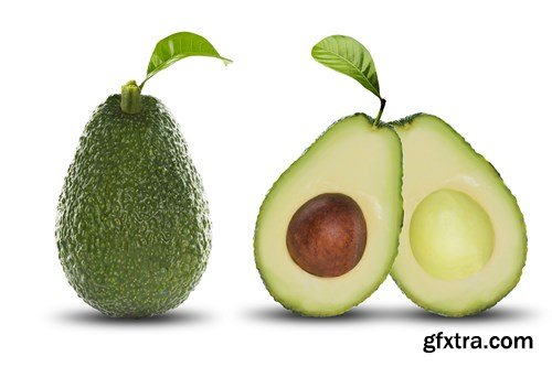 Avocado - 28xUHQ JPEG