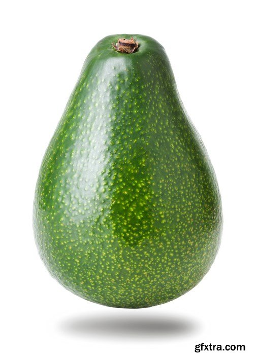 Avocado - 28xUHQ JPEG