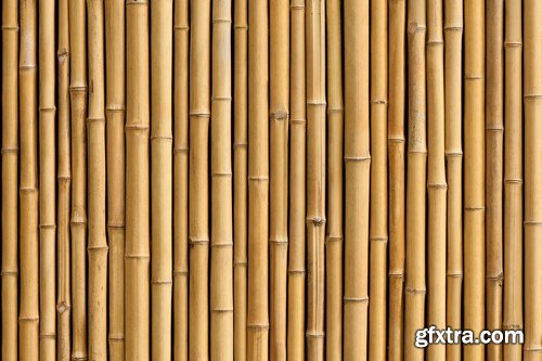 Bamboo Collection 2 - 25xUHQ JPEG