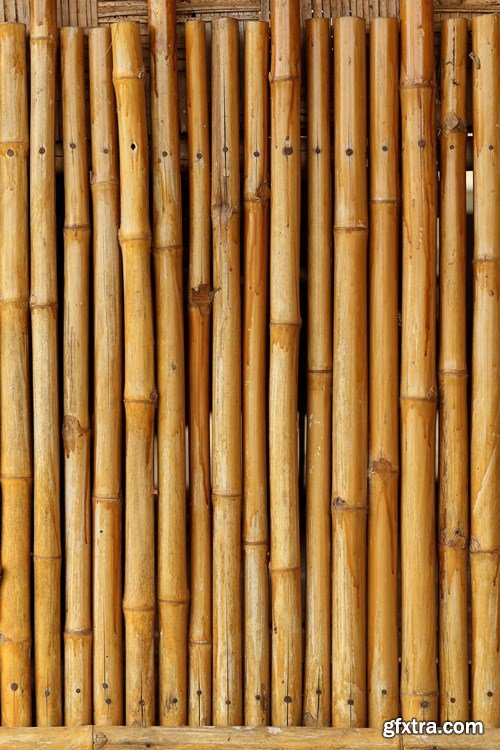 Bamboo Collection 2 - 25xUHQ JPEG