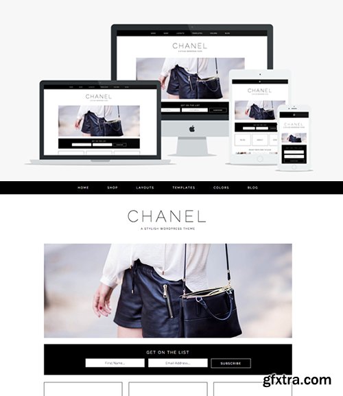 Chanel v1.0 - Wordpress Theme - CM 366057
