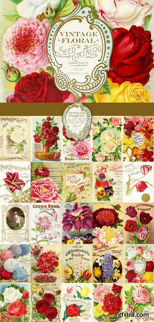 CM - Vintage Floral Seed Catalog Graphics 496725
