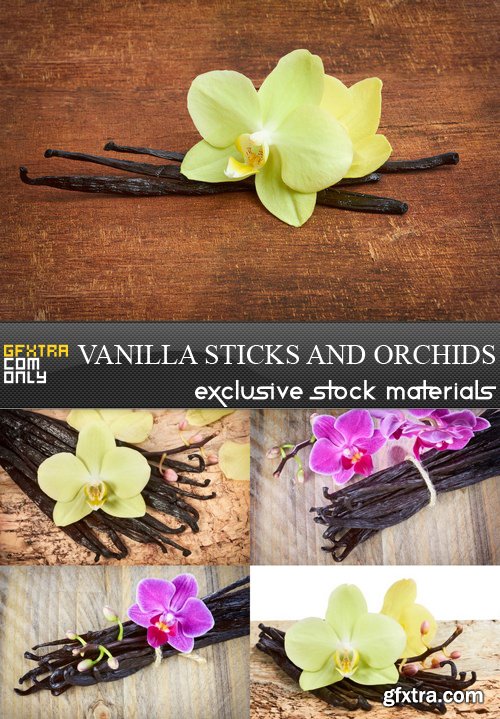 Vanilla Sticks and Orchids - 5 UHQ JPEG