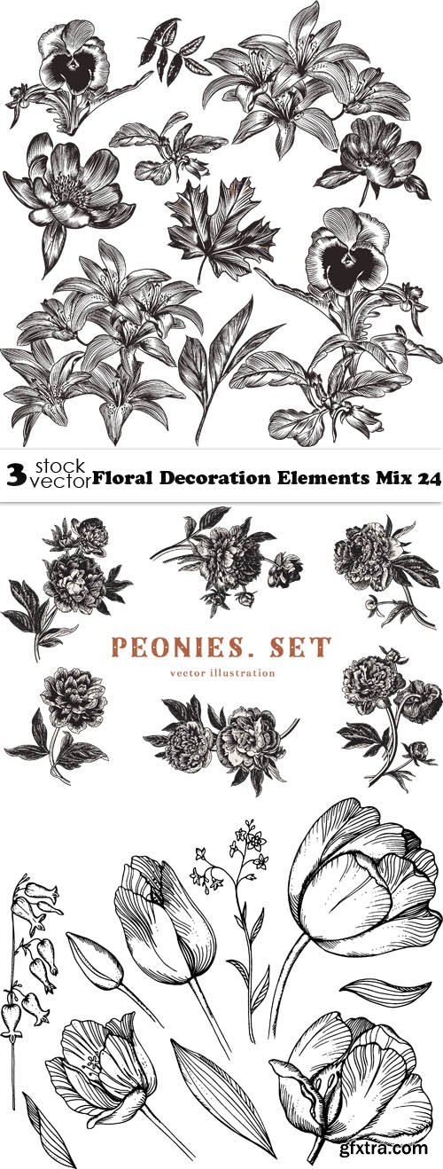 Vectors - Floral Decoration Elements Mix 24