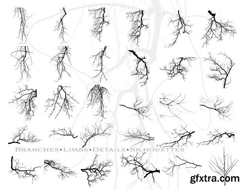 Ron's Trees Photoshop Brushes