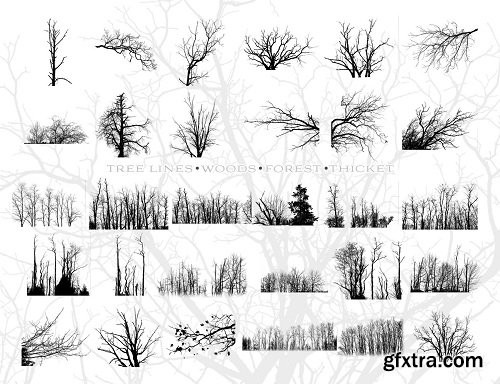 Ron's Trees Photoshop Brushes