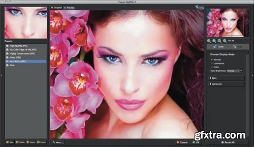 Topaz DeJPEG 4.1.0 for Adobe Photoshop (Mac OS X)