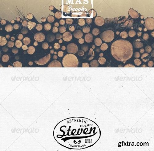 Graphicriver - Total Inked Vintage Logo Toolkit 8588658