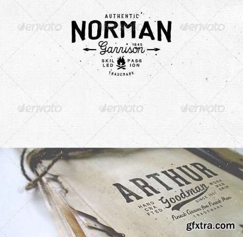 Graphicriver - Total Inked Vintage Logo Toolkit 8588658