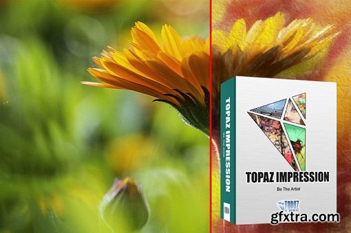 Topaz Impression 2.0.2 for Adobe Photoshop (Mac OS X)