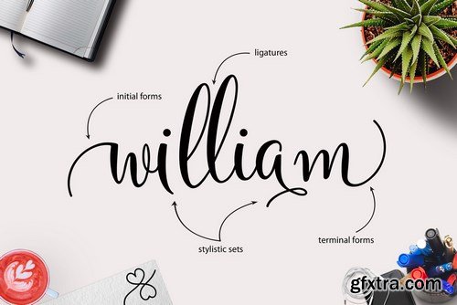 GraphicRiver - Yulinda Script 16426435