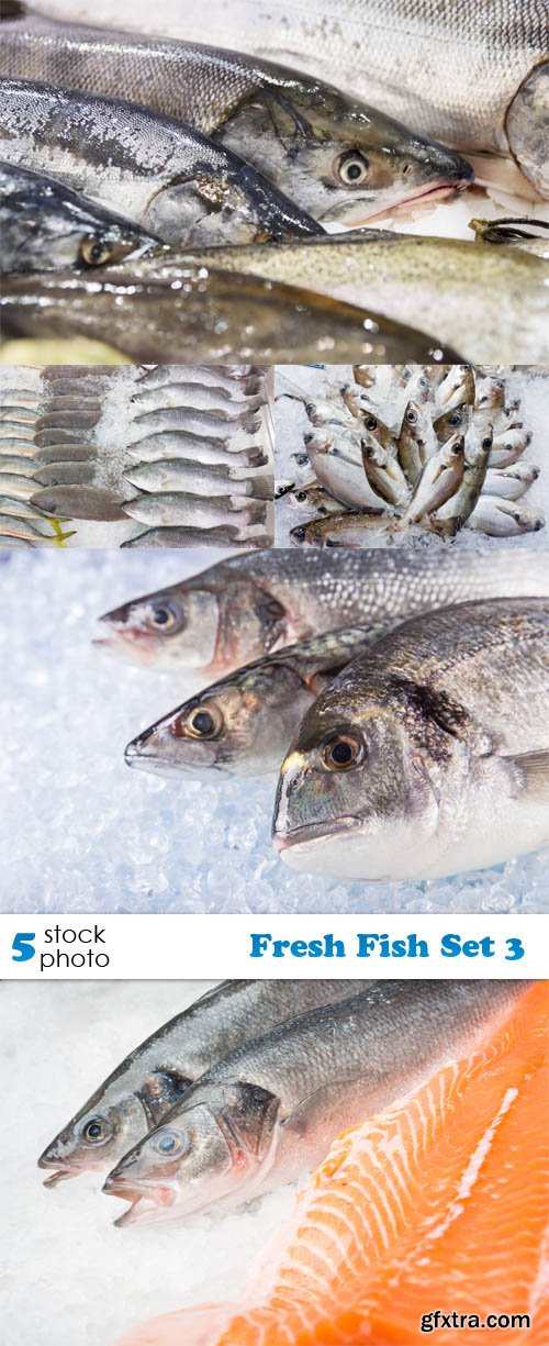 Photos - Fresh Fish Set 3