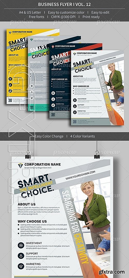 Business Flyer Volume 01 3875