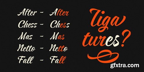 Respect Font Family $119